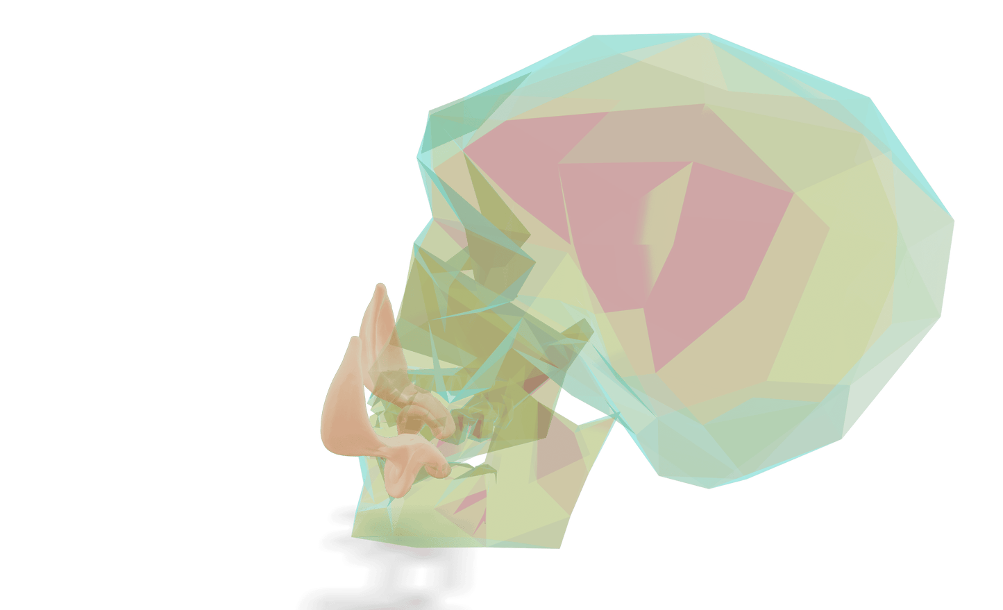 Thwak: Large Orc Tusks