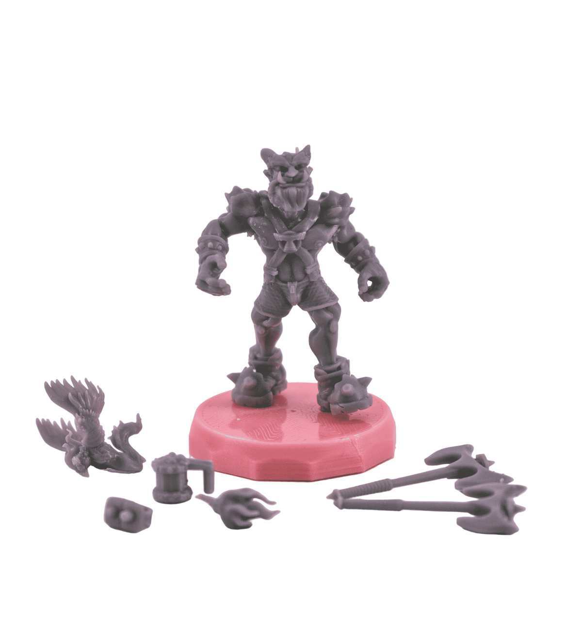 Comes with accessories!