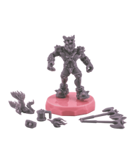 Comes with accessories!