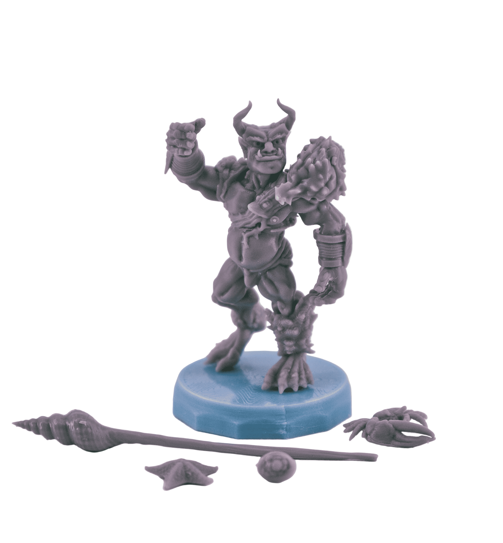 Comes with accessories!