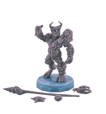 Comes with accessories!