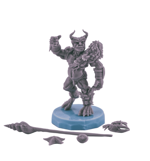 Comes with accessories!