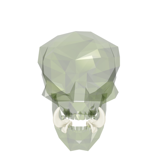 Regular/Hrar