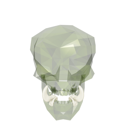 Regular/Hrar