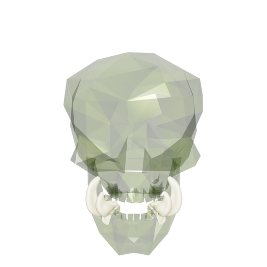 Double/Durgur