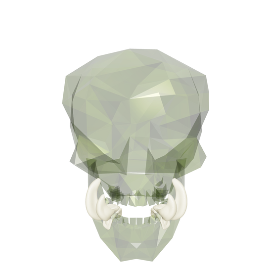 Double/Durgur