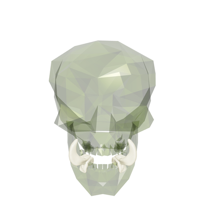 Regular/Hrar